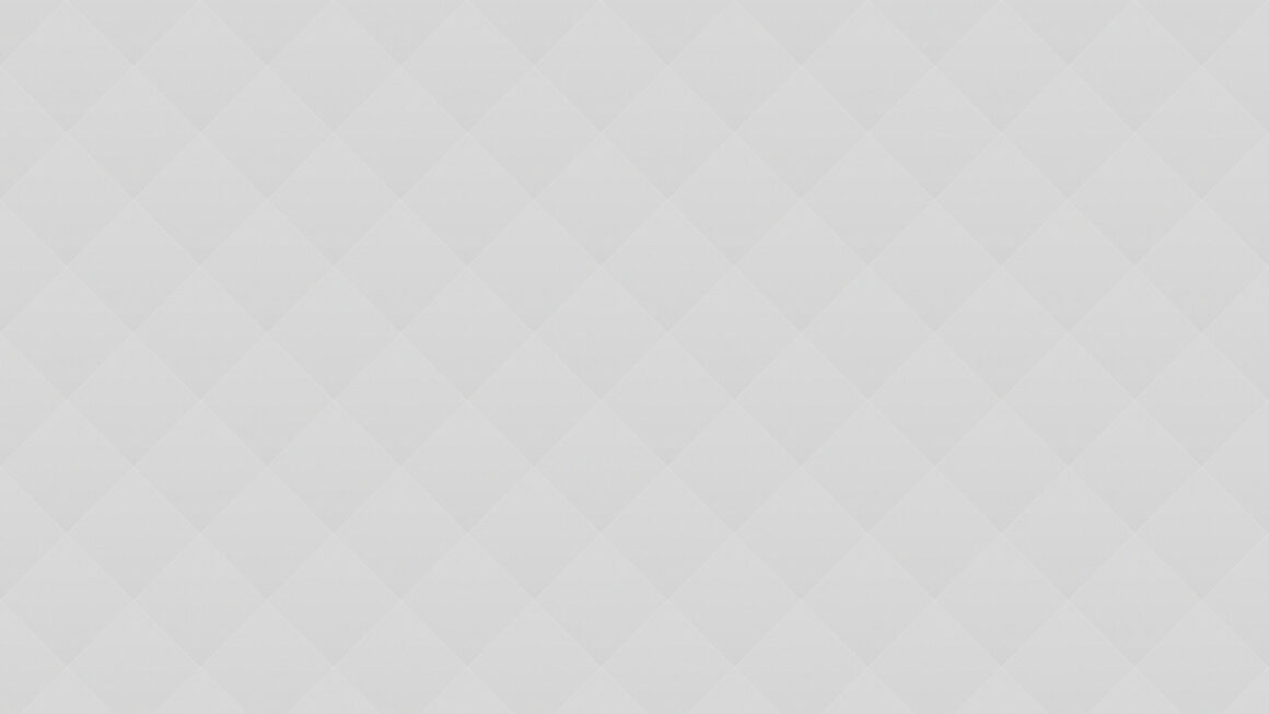 03 Professional Carwashing