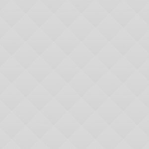 03 Professional Carwashing