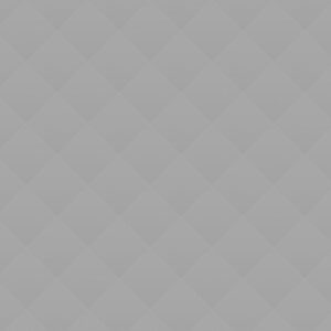 06 Domestic Cleaning